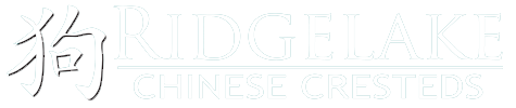 Ridgelake Chinese Cresteds