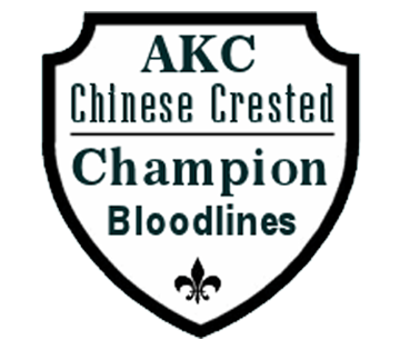 AKC Chinese Crested Champion Bloodlines