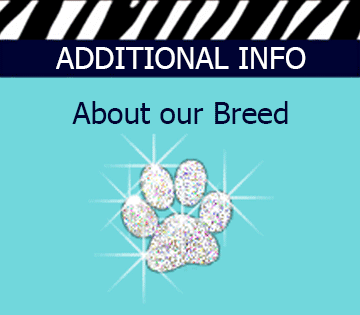 About our Breed